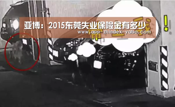 亚博体育