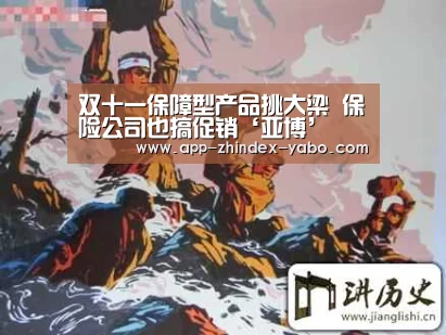 双十一保障型产品挑大梁 保险公司也搞促销‘亚博’